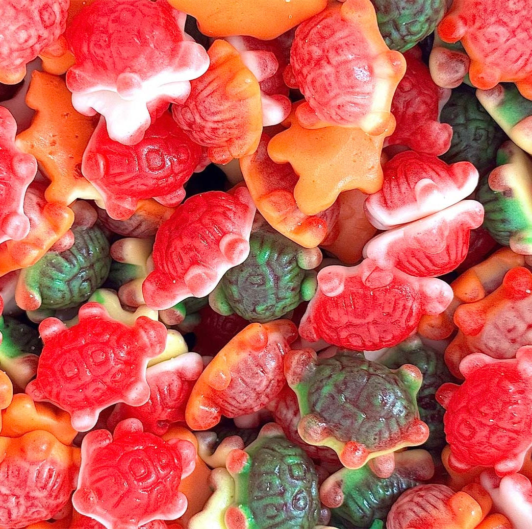 100g Jelly Filled Turtles