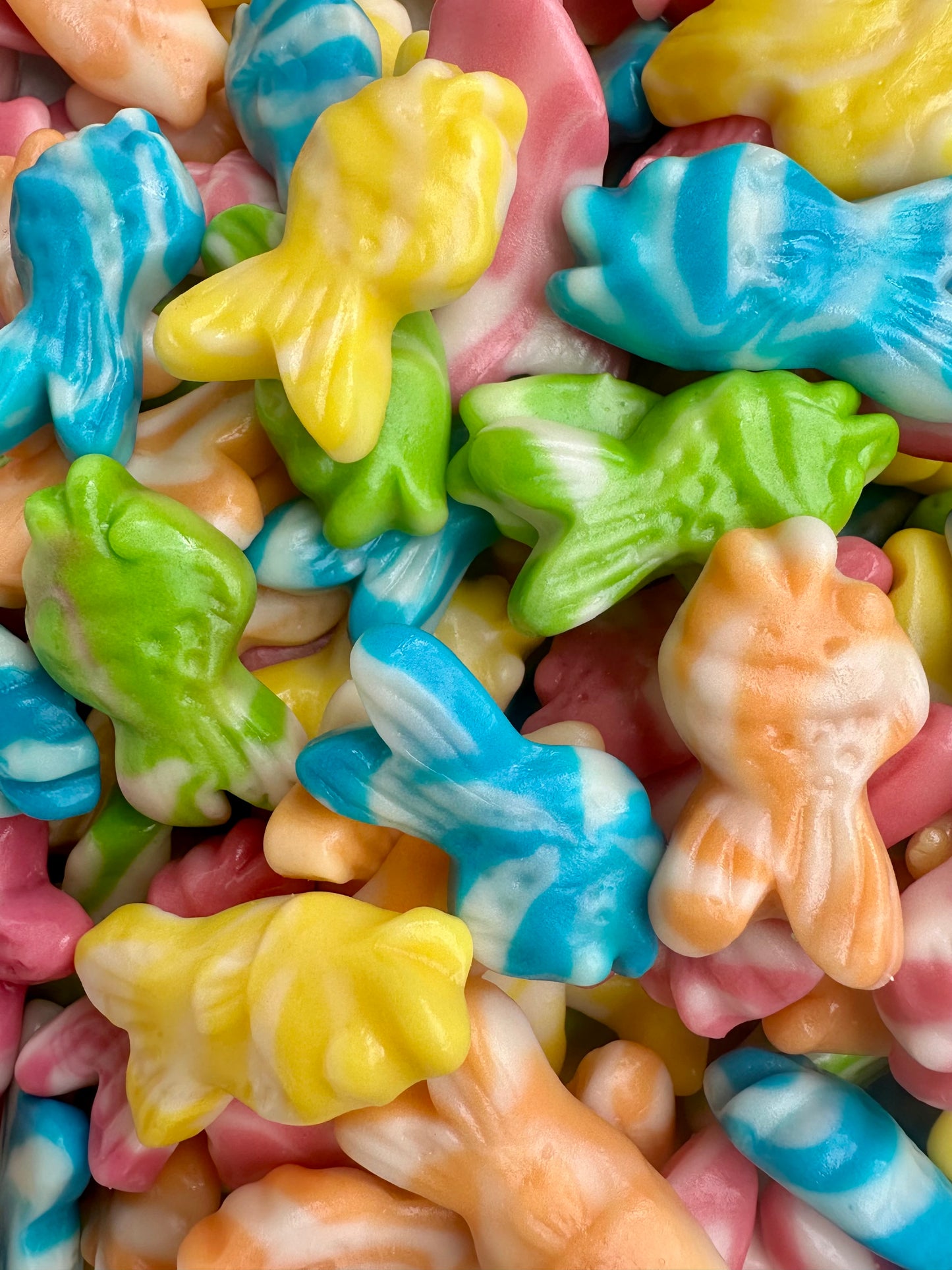 100g Swirly Fish