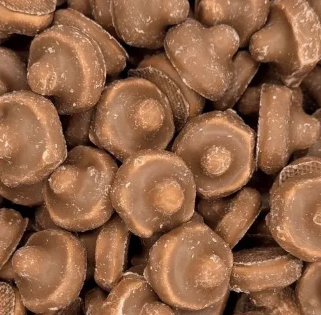 Chocolate Covered Mushrooms 100g